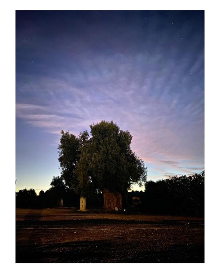 Masseria Conca D'Oro Ostuni Exteriér fotografie