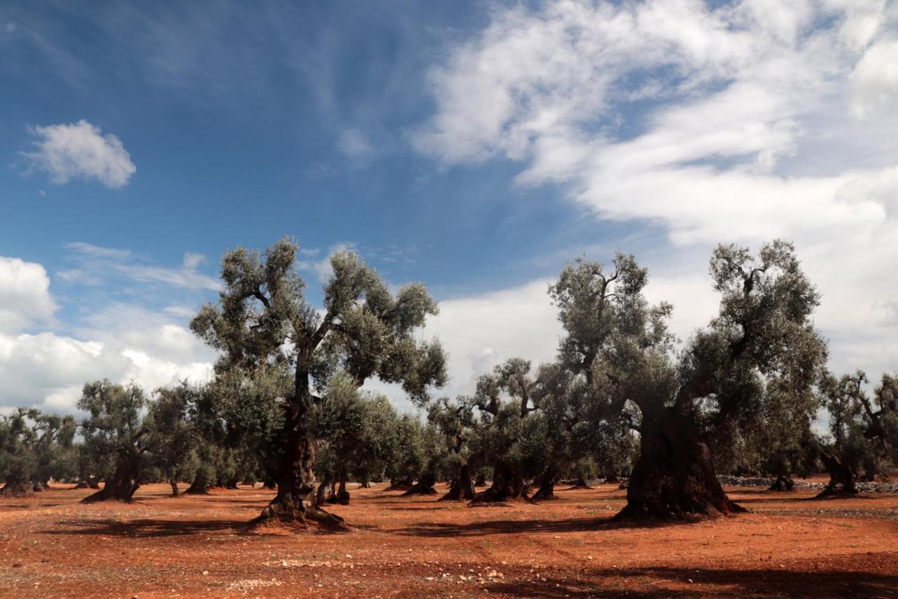 Masseria Conca D'Oro Ostuni Exteriér fotografie