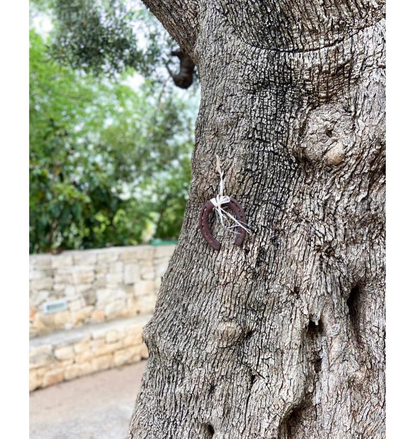 Masseria Conca D'Oro Ostuni Exteriér fotografie