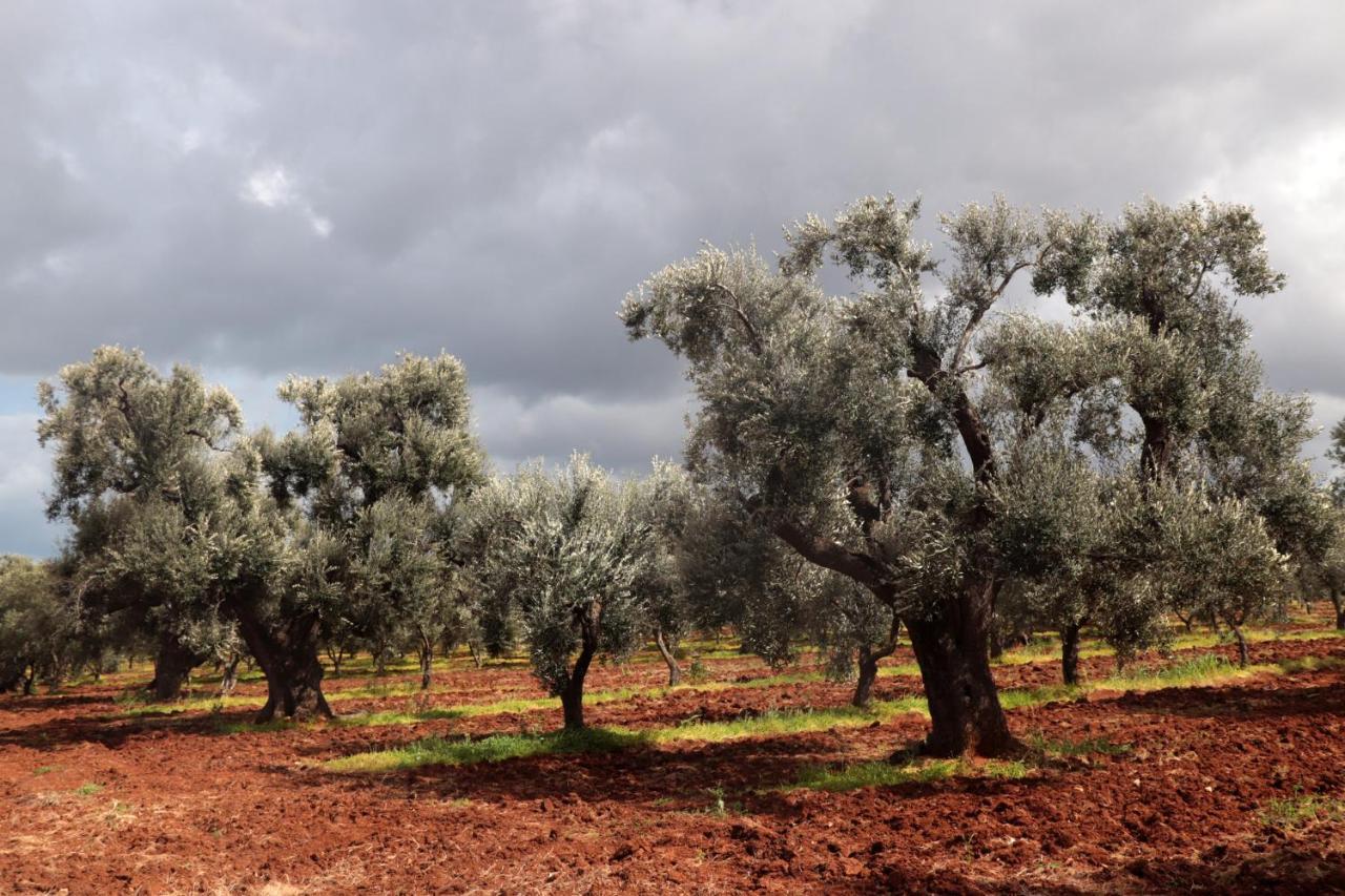 Masseria Conca D'Oro Ostuni Exteriér fotografie