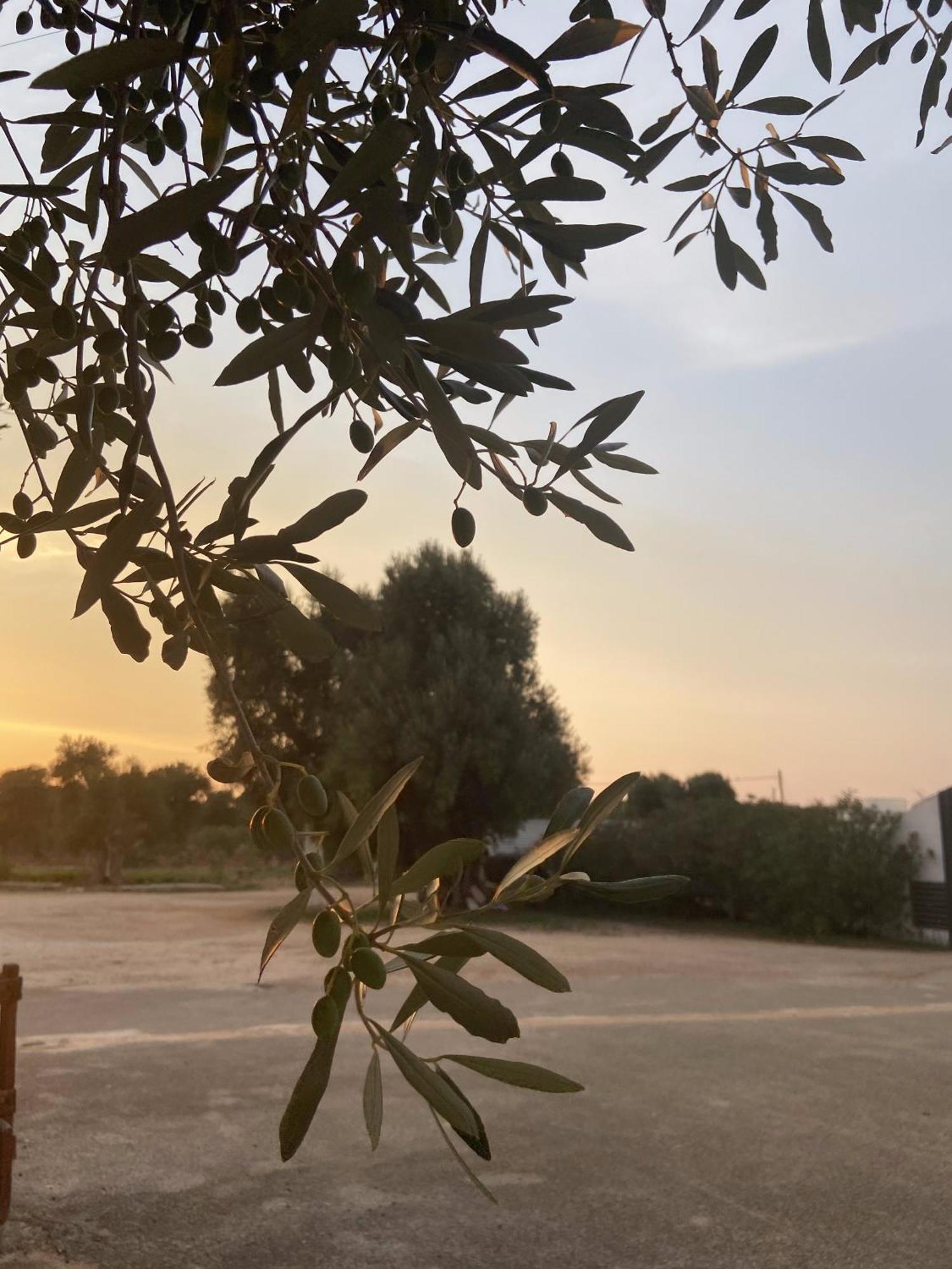 Masseria Conca D'Oro Ostuni Exteriér fotografie