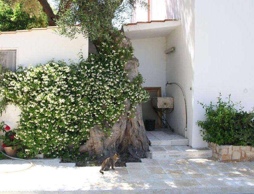 Masseria Conca D'Oro Ostuni Exteriér fotografie